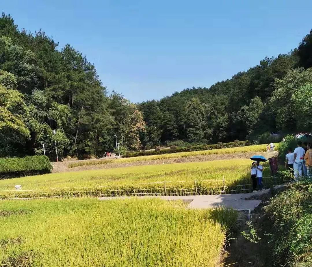 電將軍人赴韶山毛澤東故居